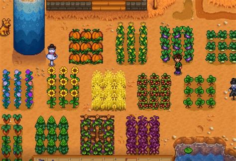 stardew giant crops|best fall crops stardew valley.